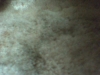 Picture 105.jpg