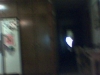 DC00045.jpg