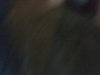 DC00043.jpg