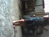 DC00051.jpg
