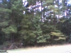 Picture 013.jpg