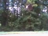 Picture 016.jpg