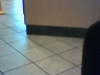 Picture 025.jpg