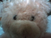 Picture 110.jpg