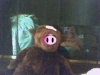 Picture 130.jpg