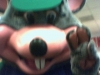 DC00009.jpg